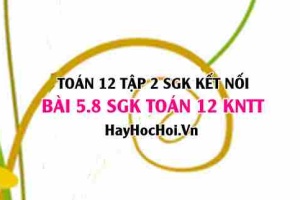 Bài 5.8 SGK Toán 12 tập 2 Kết nối tri thức: Bài toán thực tế về mái nhà hình chóp